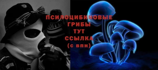 ALPHA PVP Белокуриха