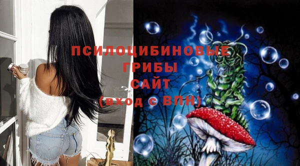 стаф Беломорск