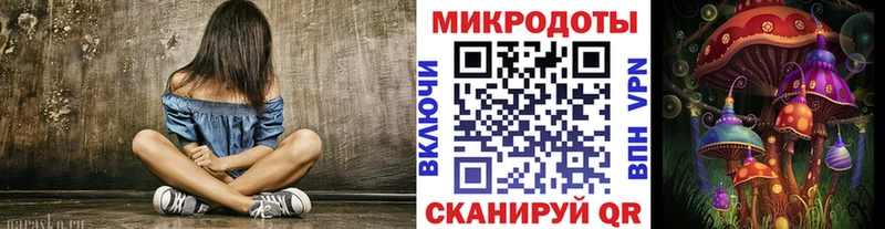 блэк спрут зеркало  Тула  Псилоцибиновые грибы Cubensis 